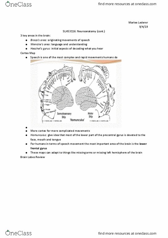 SLHS 3116 Lecture Notes - Lecture 3: Frontal Lobe, Pyramidal Tracts, Limbic System thumbnail
