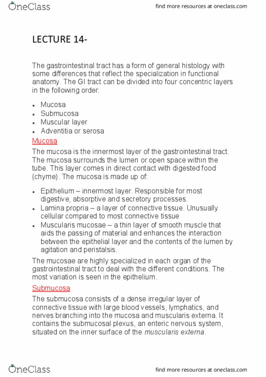 401002 Lecture Notes - Lecture 14: Muscularis Mucosae, Muscular Layer, Submucous Plexus thumbnail