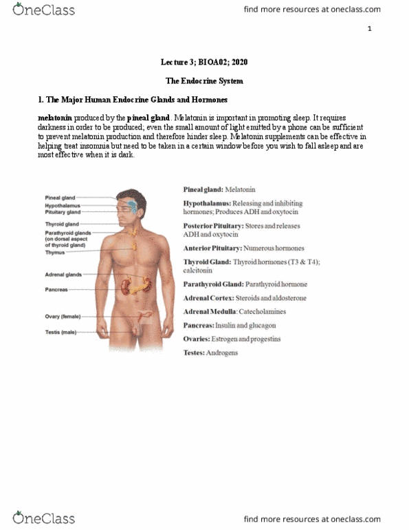 BIOA02H3 Lecture 3: 3-The Endocrine system thumbnail