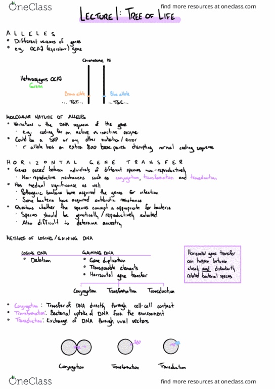 Biology 2581B Lecture Notes - Lecture 1: Pathogenic Bacteria, Ribozyme, Carotenoid thumbnail
