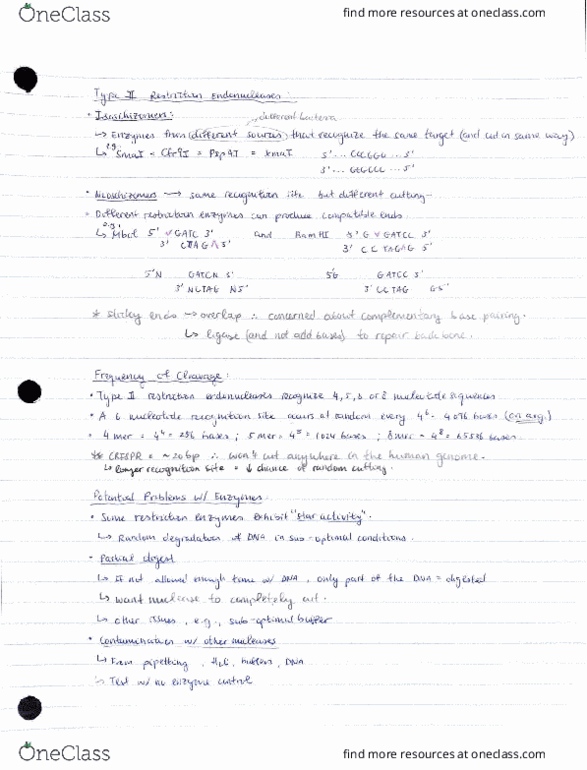 BIO314H5 Lecture Notes - Lecture 4: Horse Length, Codex Corbeiensis Ii, Lck thumbnail