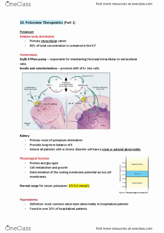 PHRM 211 Lecture Notes - Lecture 10: Resting Potential, Roads In The United Kingdom, Hypokalemia thumbnail