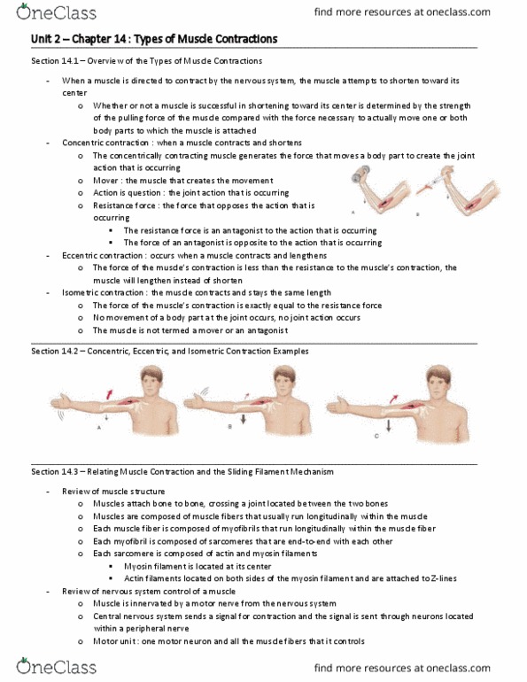 HP 2306 Chapter Notes - Chapter 14: Sliding Filament Theory, Myocyte, Central Nervous System thumbnail