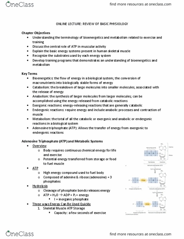 HLSC 3480U Lecture Notes - Lecture 2: Endergonic Reaction, Exergonic Process, Catabolism thumbnail