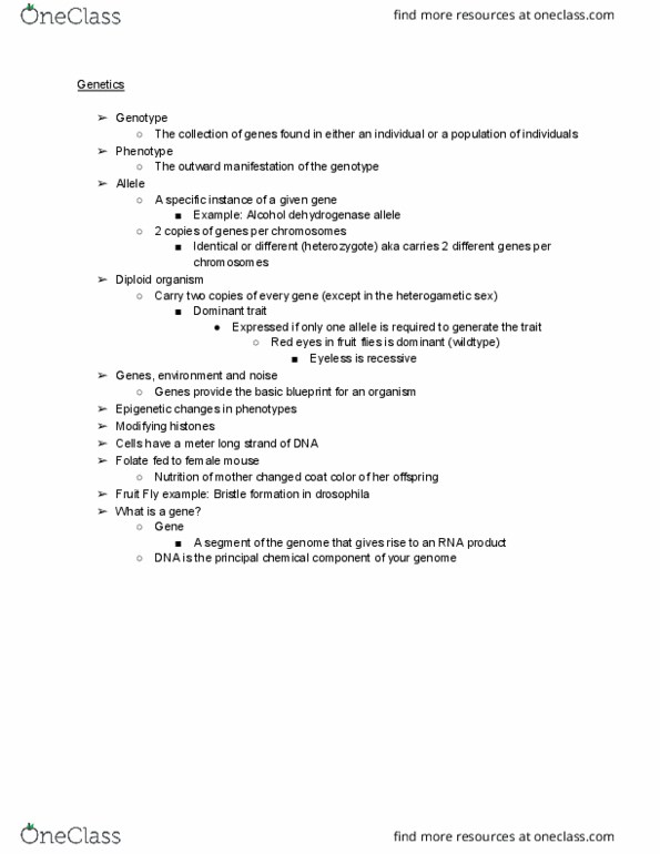 ANFS300 Lecture Notes - Lecture 1: Heterogametic Sex, Alcohol Dehydrogenase, Folic Acid thumbnail