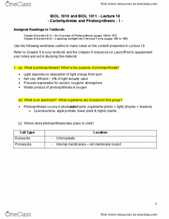 BIOL 1010U Lecture Notes - Lecture 1: Phototroph, Radiant Energy, Autotroph thumbnail