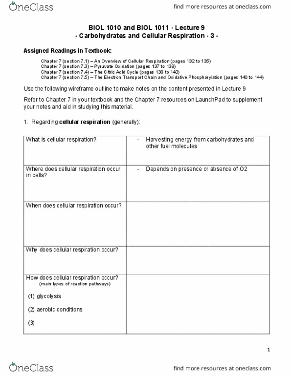 BIOL 1010U Lecture Notes - Lecture 9: Cellular Respiration, Oxidative Phosphorylation, Pyruvic Acid thumbnail