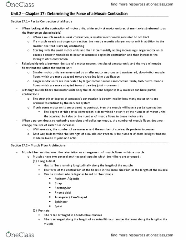 HP 2306 Chapter Notes - Chapter 17: Pennate Muscle, Myocyte, Motor Unit thumbnail