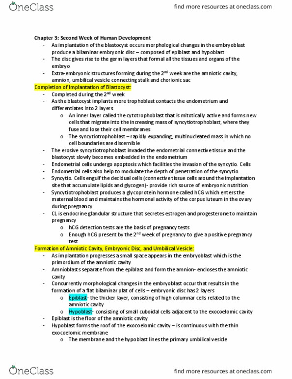 Health Sciences 4320A/B Chapter Notes - Chapter 3: Amniotic Sac, Syncytiotrophoblast, Inner Cell Mass thumbnail