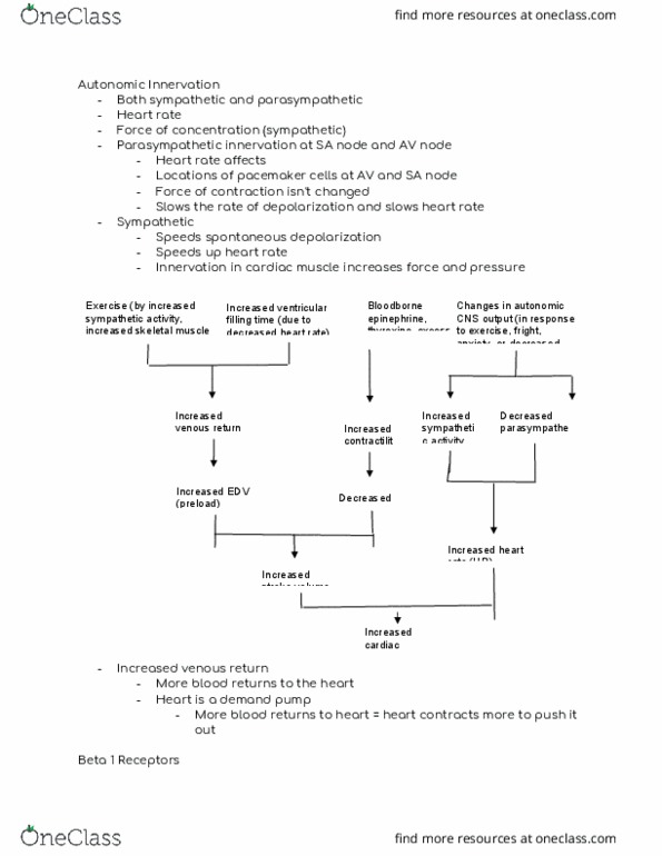 KIN 272 Lecture Notes - Lecture 7: Tachycardia, Atrioventricular Node, Cardiac Output thumbnail