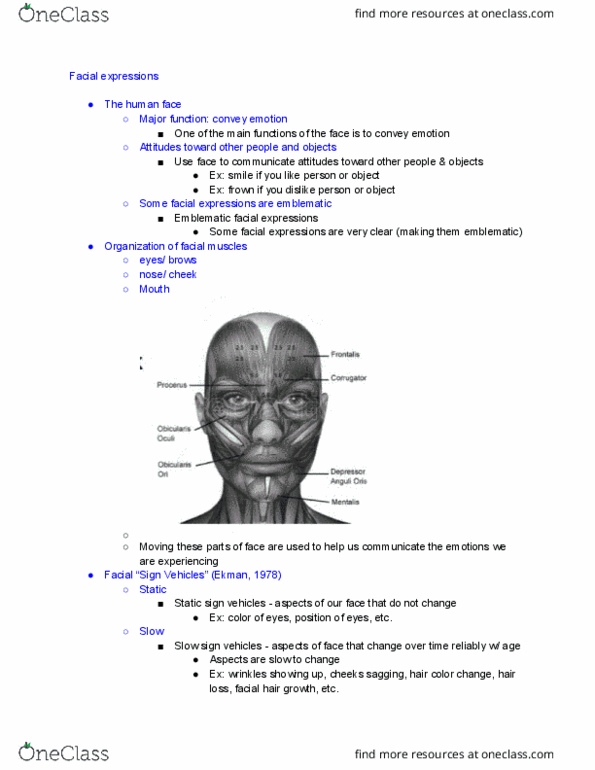CMN 122 Lecture Notes - Lecture 7: Facial Muscles, Physician Assistant, Objective Structured Clinical Examination thumbnail