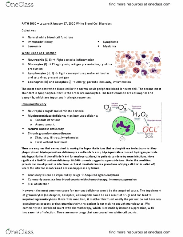 PATH 3000 Lecture Notes - Lecture 9: Hyper Igm Syndrome, Monocyte, Fusion Protein thumbnail