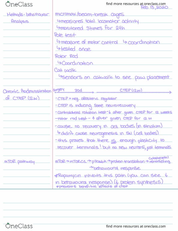 document preview image