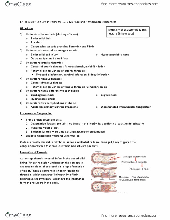 PATH 3000 Lecture Notes - Lecture 14: Acute Respiratory Distress Syndrome, Disseminated Intravascular Coagulation, Myocardial Infarction thumbnail
