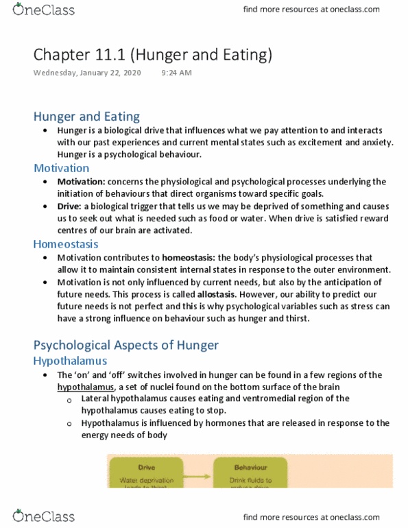 PSYA02H3 Chapter Notes - Chapter 11.1: Ventromedial Nucleus Of The Hypothalamus, Lateral Hypothalamus, Allostasis thumbnail