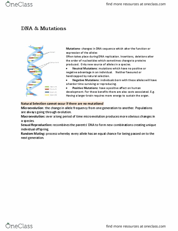 ANTHR101 Lecture Notes - Lecture 4: Dna Replication, Microevolution, Macroevolution thumbnail