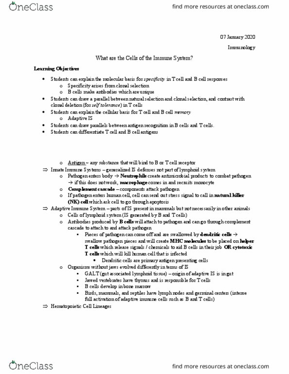 BIOL 4570 Lecture Notes - Lecture 1: Natural Killer Cell, T Helper Cell, Clonal Deletion thumbnail