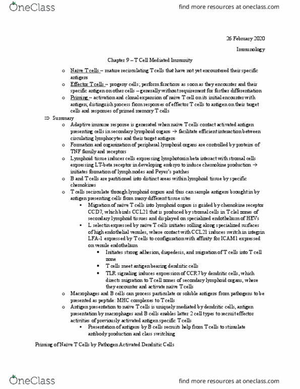 BIOL 4570 Chapter Notes - Chapter 9: Antigen-Presenting Cell, High Endothelial Venules, Naive T Cell thumbnail