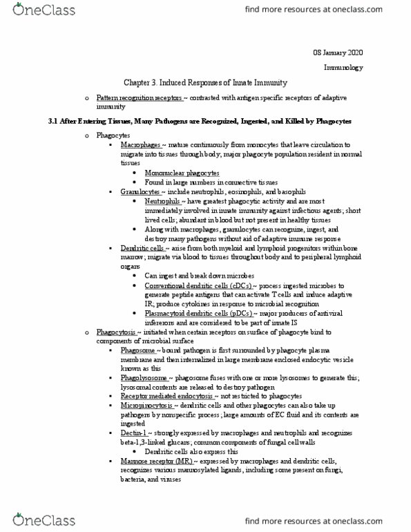 BIOL 4570 Chapter Notes - Chapter 3: Adaptive Immune System, Mannose Receptor, Dendritic Cell thumbnail