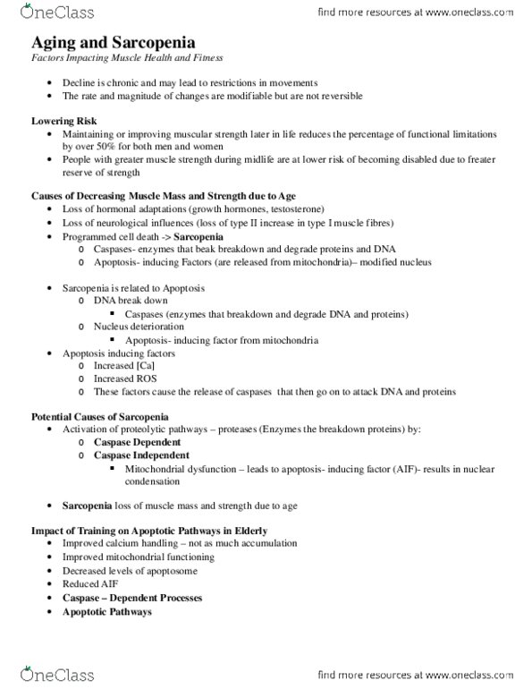 KINE 1020 Lecture Notes - Caspase thumbnail