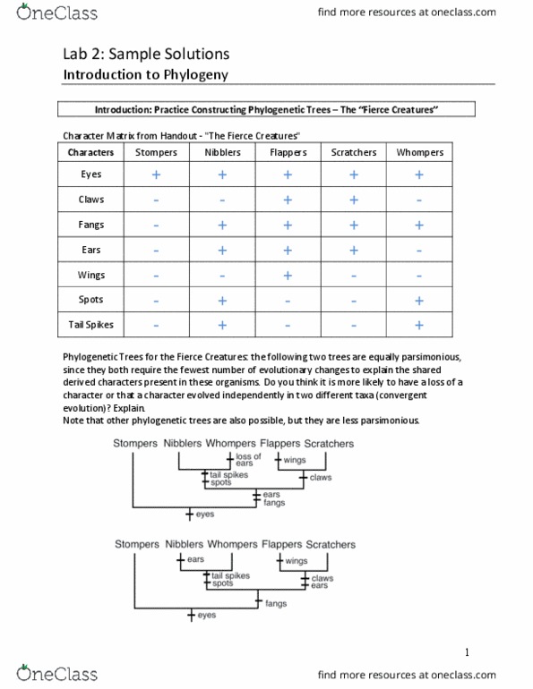 document preview image