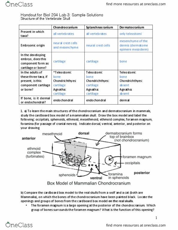 BIOL 300 Lecture Notes - Lecture 5: Foramen Magnum, Chondrocranium, Skull Roof thumbnail