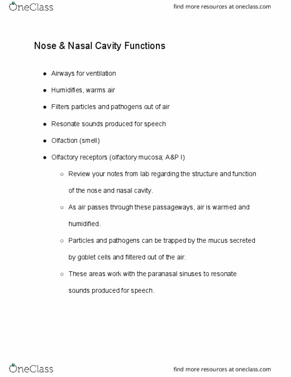 BIOL 221 Lecture Notes - Lecture 7: Paranasal Sinuses, Olfactory Mucosa, Goblet Cell thumbnail