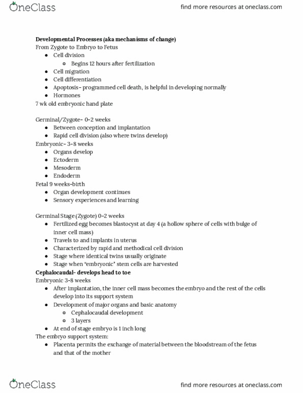 PSYC 2400 Lecture Notes - Lecture 3: Embryonic Stem Cell, Cell Migration, Cell Division thumbnail