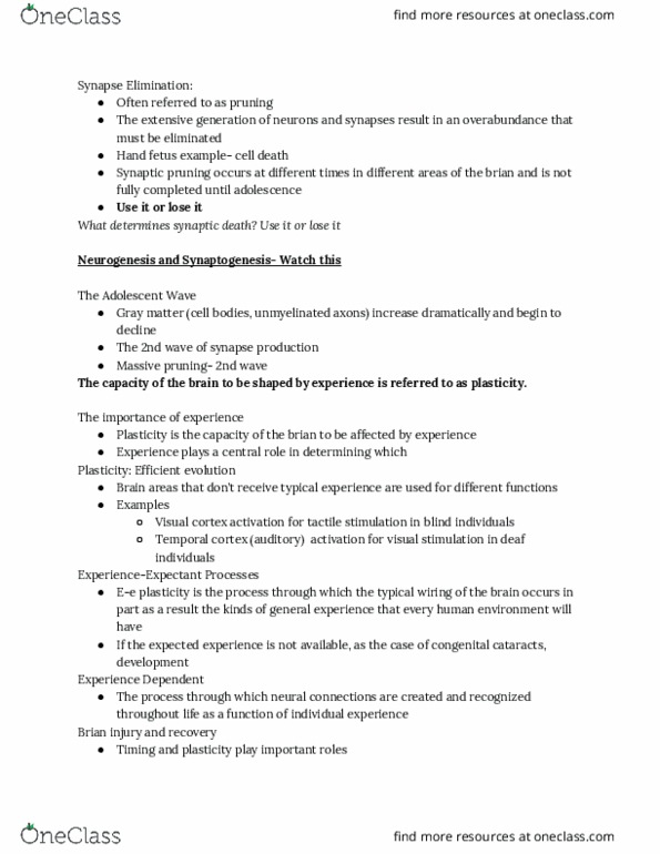 PSYC 2400 Lecture Notes - Lecture 7: Synaptic Pruning, Visual Cortex, Synaptogenesis thumbnail