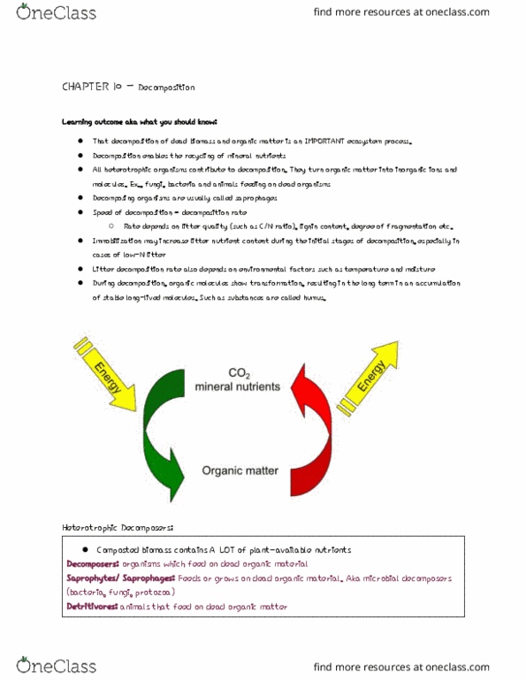 BIOL-2356EL Lecture Notes - Lecture 10: Saprotrophic Nutrition, Humus, Detritivore thumbnail