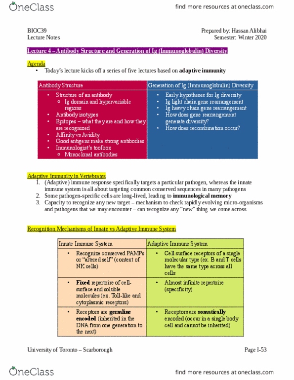 BIOC39H3 Lecture Notes - Lecture 4: Immunoglobulin Heavy Chain, Monoclonal Antibody, Innate Immune System thumbnail