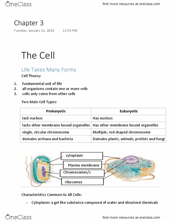 MBIO 302 Chapter Notes - Chapter 3: Cell Theory, Archaea, Organelle thumbnail