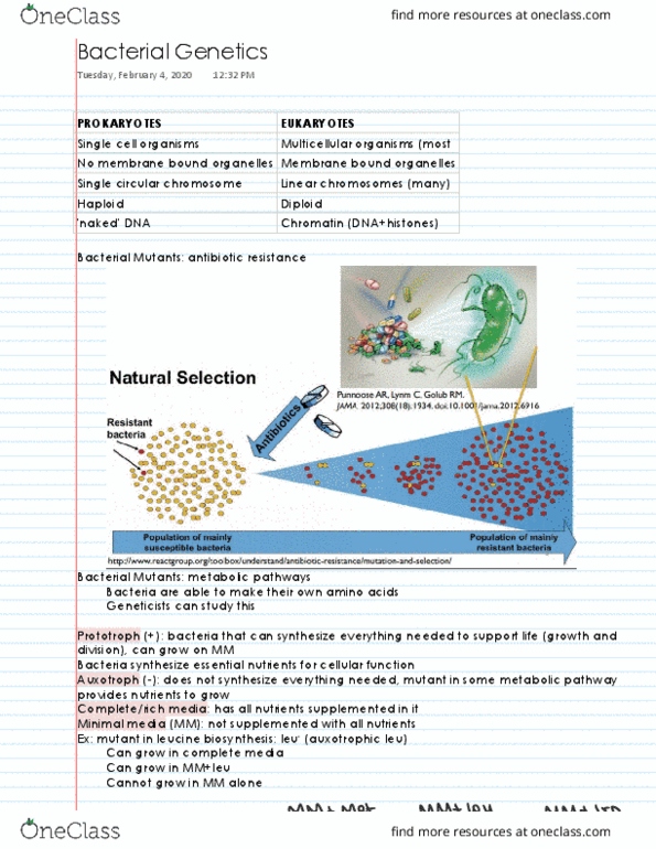 BIS 101 Lecture 9: Bacterial Genetics thumbnail