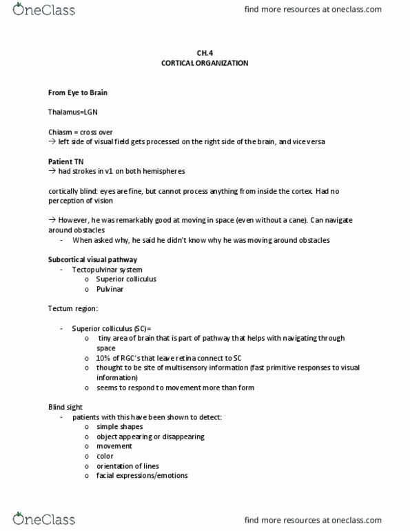 PSYC 363 Lecture Notes - Lecture 4: Superior Colliculus, Cortical Blindness, Midbrain Tectum thumbnail