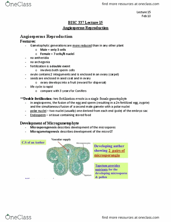 BISC 337 Lecture Notes - Lecture 15: Double Fertilization, Flowering Plant, Antheridium thumbnail