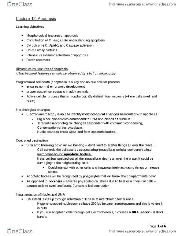 Biology 2382B Lecture Notes - Lecture 12: Death Domain, Cytokine, Natural Killer Cell thumbnail