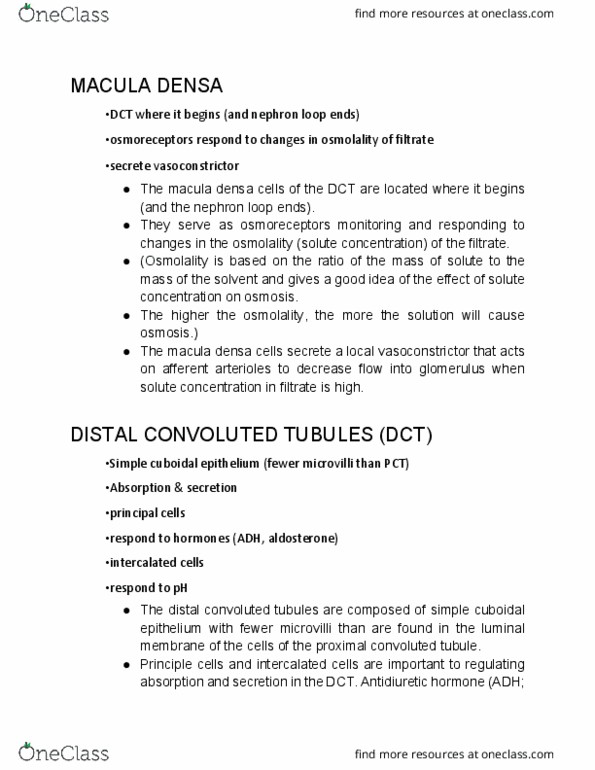 BIOL 221 Lecture Notes - Lecture 6: Distal Convoluted Tubule, Proximal Tubule, Macula Densa thumbnail