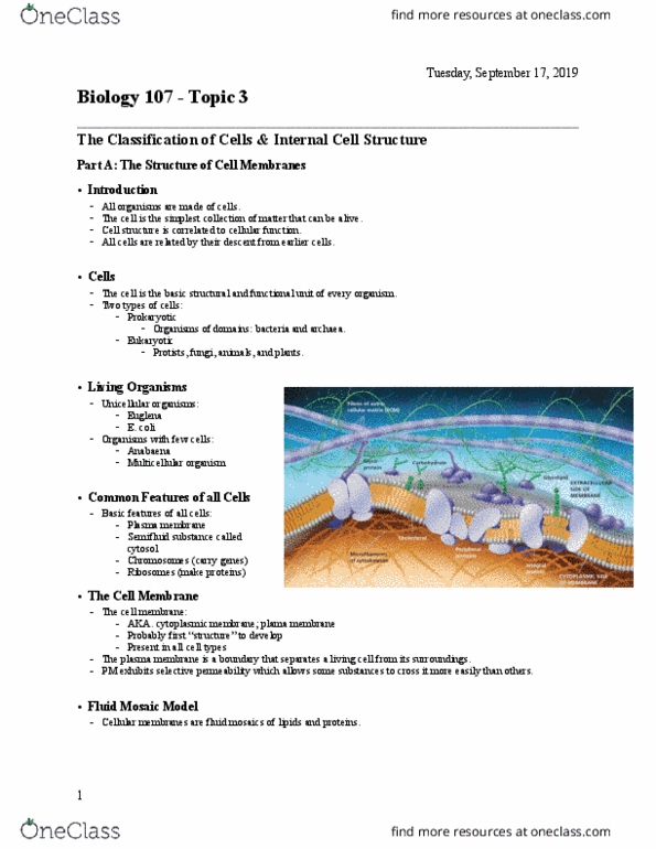 BIOL107 Lecture Notes - Lecture 3: Fluid Mosaic Model, Euglena, Anabaena thumbnail