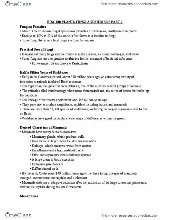 BISC 100 Lecture Notes - Lecture 11: Ascomycota, Adaptive Radiation, Invertebrate thumbnail