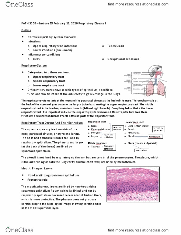 PATH 3000 Lecture Notes - Lecture 15: Respiratory Tract, Paranasal Sinuses, Respiratory Epithelium thumbnail