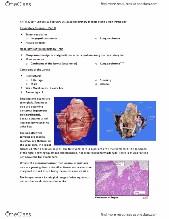 PATH 3000 Lecture Notes - Lecture 16: Squamous Cell Carcinoma, Vocal Folds, Respiratory Epithelium thumbnail