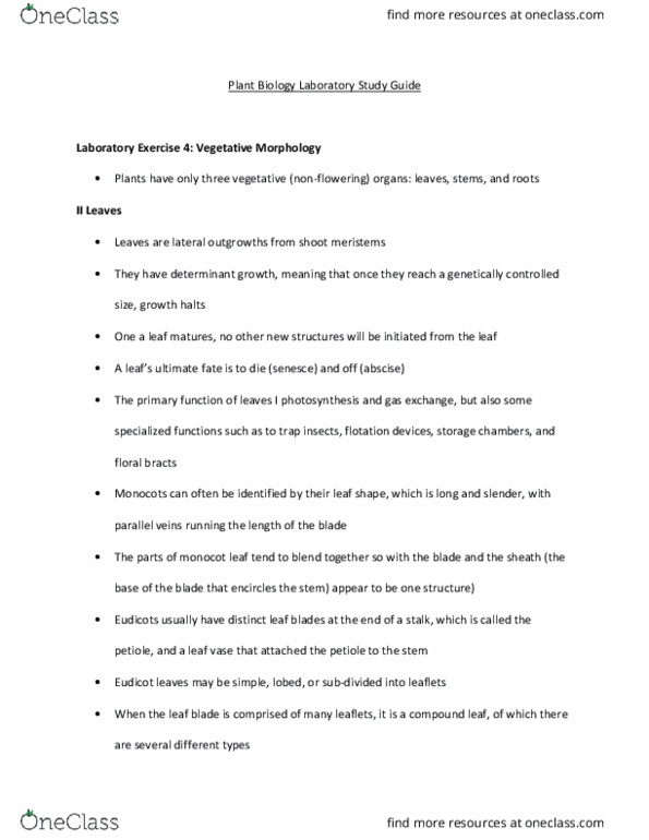 BIOL 104 Lecture Notes - Lecture 4: Eudicots, Monocotyledon, Abscission thumbnail