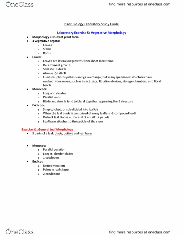 BIOL 104 Lecture Notes - Lecture 5: Eudicots, Cotyledon, Monocotyledon thumbnail