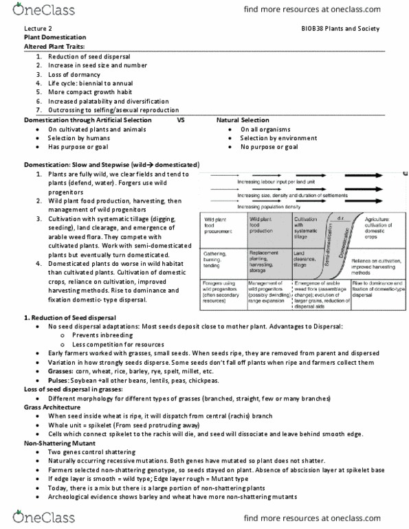 BIOB38H3 Lecture Notes - Lecture 2: Rachis, Wild Type, Abscission thumbnail