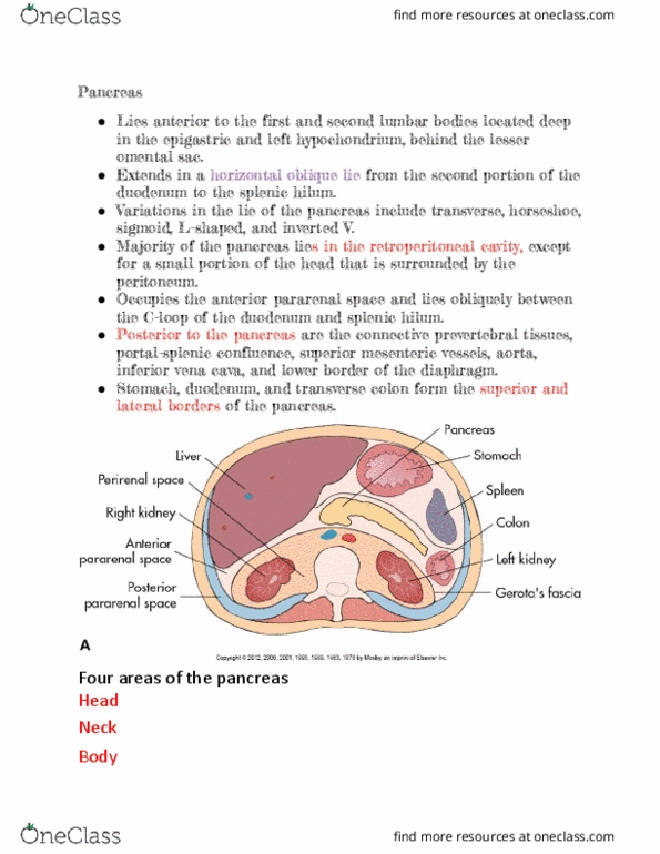 RIU 332 Lecture Notes - Lecture 21: Hypochondrium, Duodenum, Aorta thumbnail