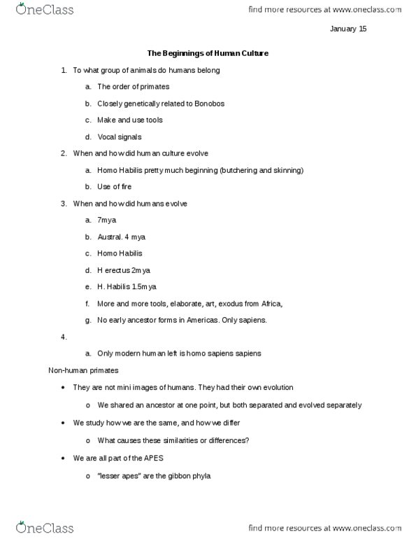 Anthropology 1025F/G Lecture Notes - Taste, Knuckle-Walking, Homo Habilis thumbnail