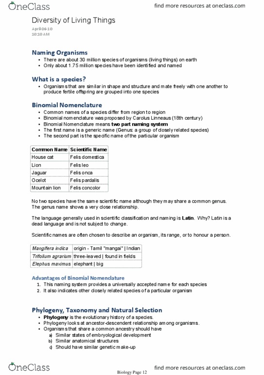 BIOA11H3 Lecture Notes - Lecture 17: Jaguar, Binomial Nomenclature, Felis thumbnail