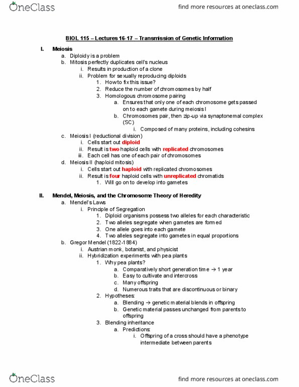 BIOL 115 Lecture Notes - Lecture 16: Synaptonemal Complex, Homologous Chromosome, Blending Inheritance thumbnail