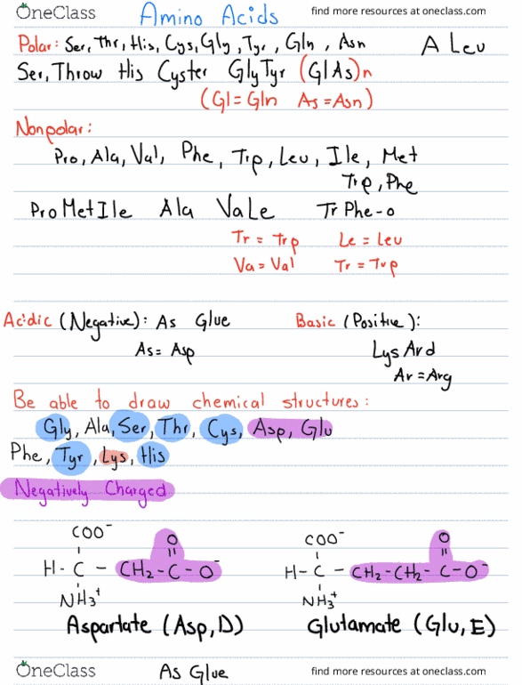 BCH 369 Lecture Notes - Lecture 1: Phenylalanine, Glutamine, Chief Operating Officer thumbnail
