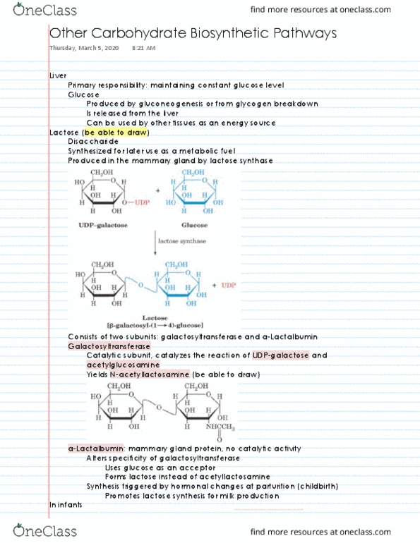 ABI 103 Lecture 19: Other Carbohydrate Biosynthetic Pathways thumbnail